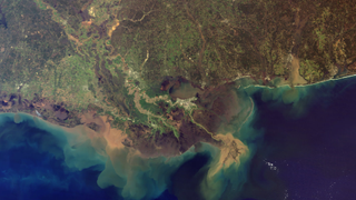 The Gulf of Mexico's 'Dead Zone' Could Balloon to Over 8,000 Square Miles This Summer